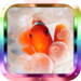 Ocean & Animal Lite Wallpaper